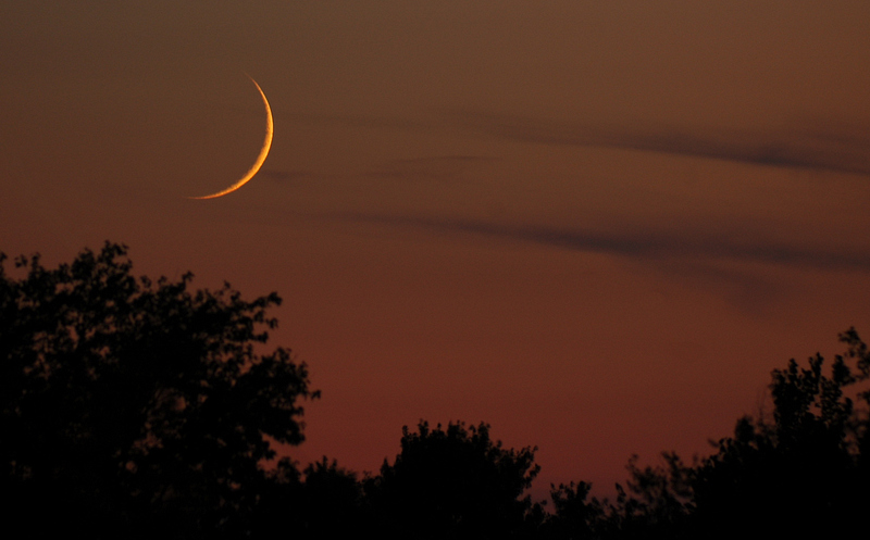 48909058.crescent_pbase