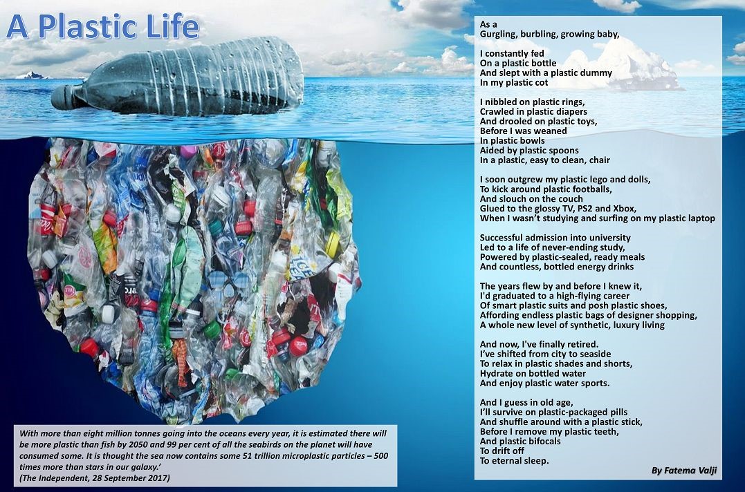 A Plastic Life